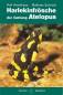 Preview: Harlekinfrösche der Gattung Atelopus